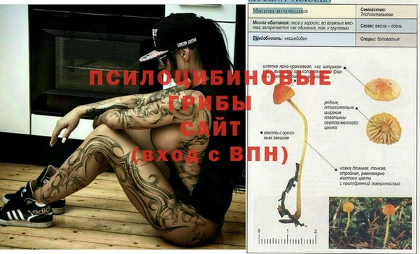 стаф Карталы