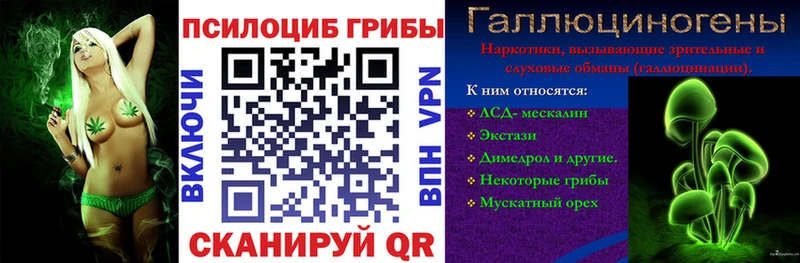 где найти наркотики  Оха  Псилоцибиновые грибы Psilocybe 